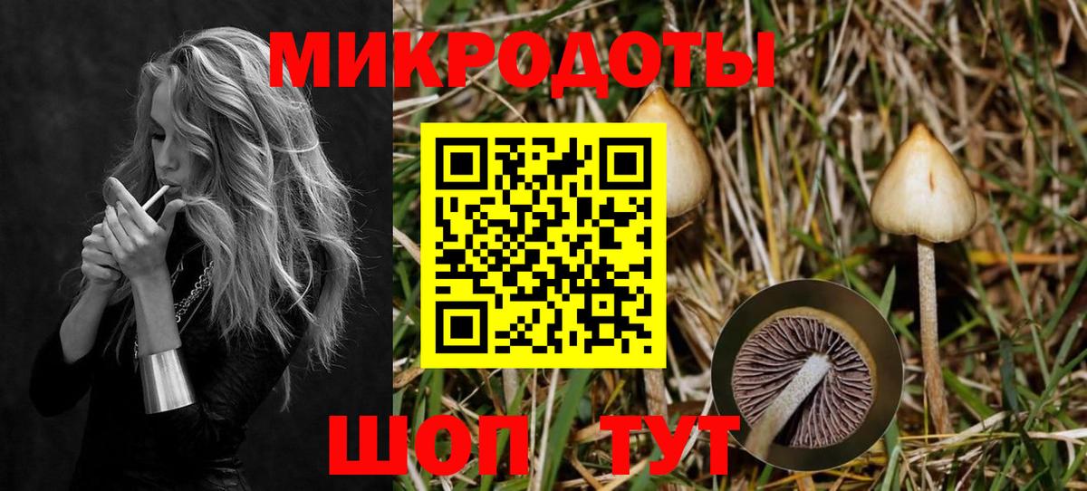 Галлюциногенные грибы прущие грибы  Псилоцибиновые грибы мицелий  Клинцы  Вход с VPN 